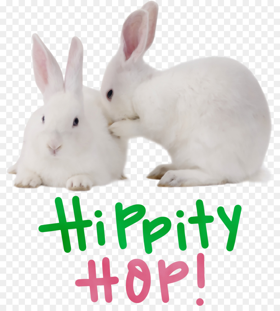 Lapin De Pâques，Lapin PNG