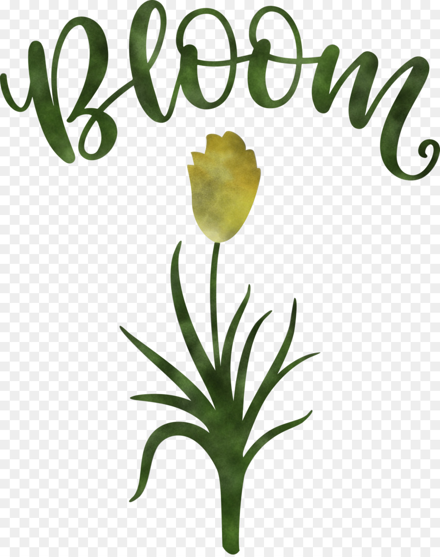 Fleur，Les Fleurs Coupées PNG