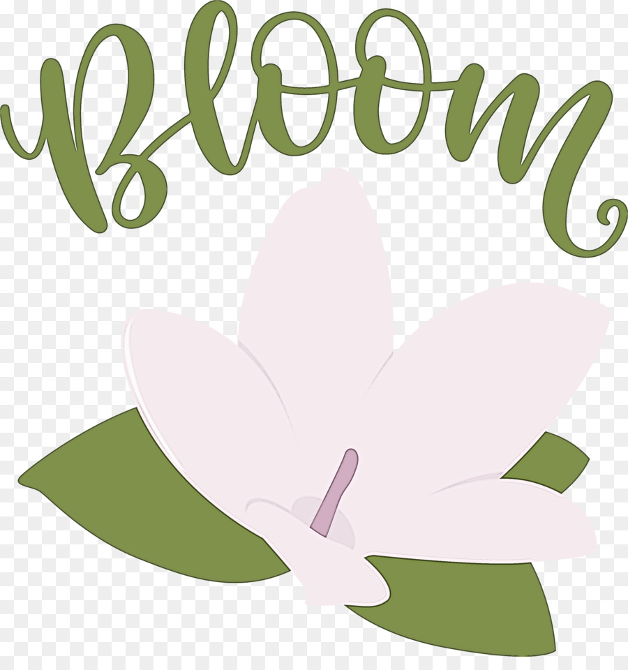 Design Floral，Feuille PNG