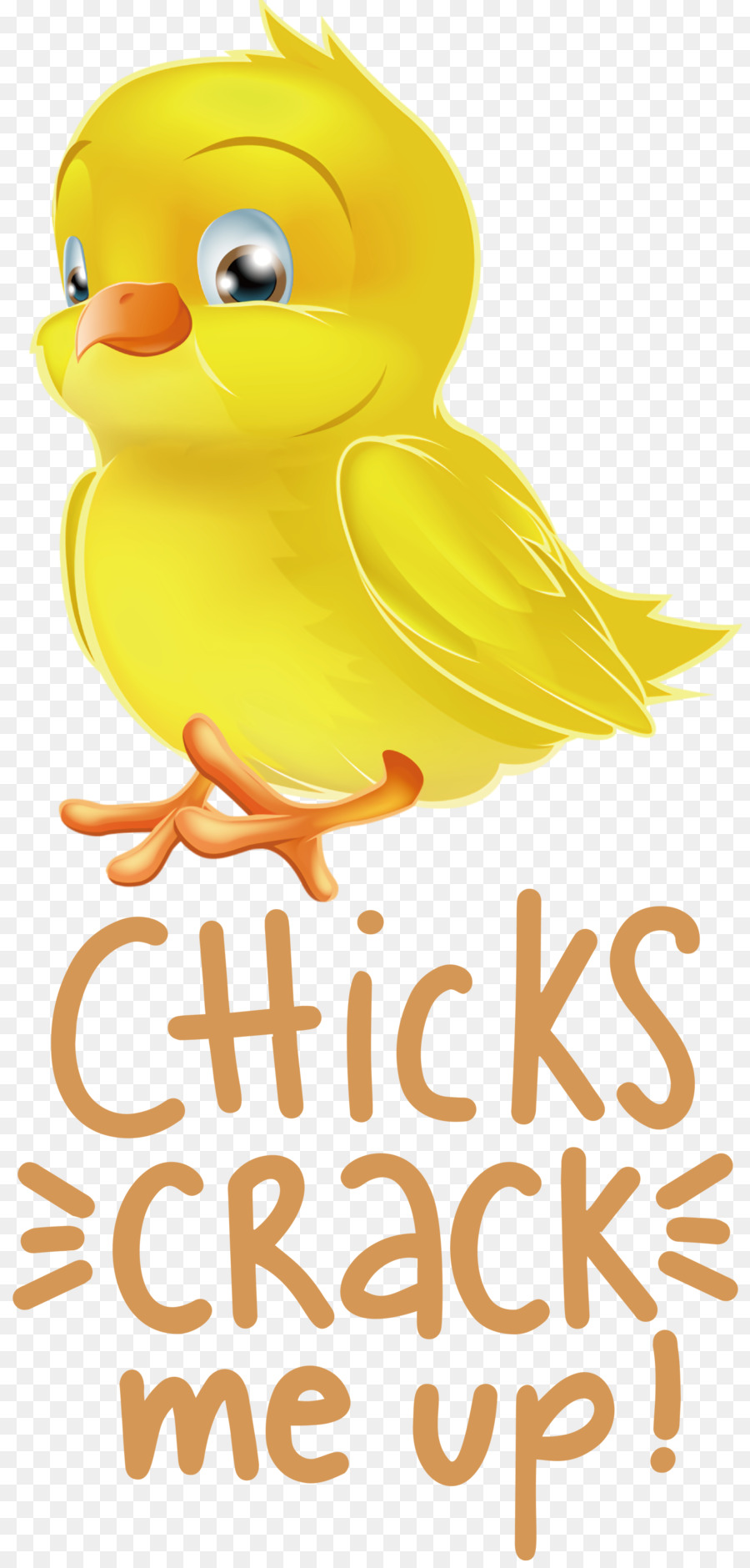 Les Oiseaux，Canard PNG