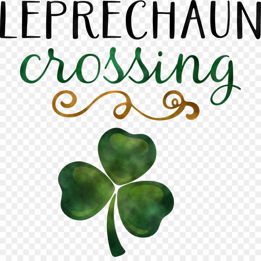 Feuille，Shamrock PNG