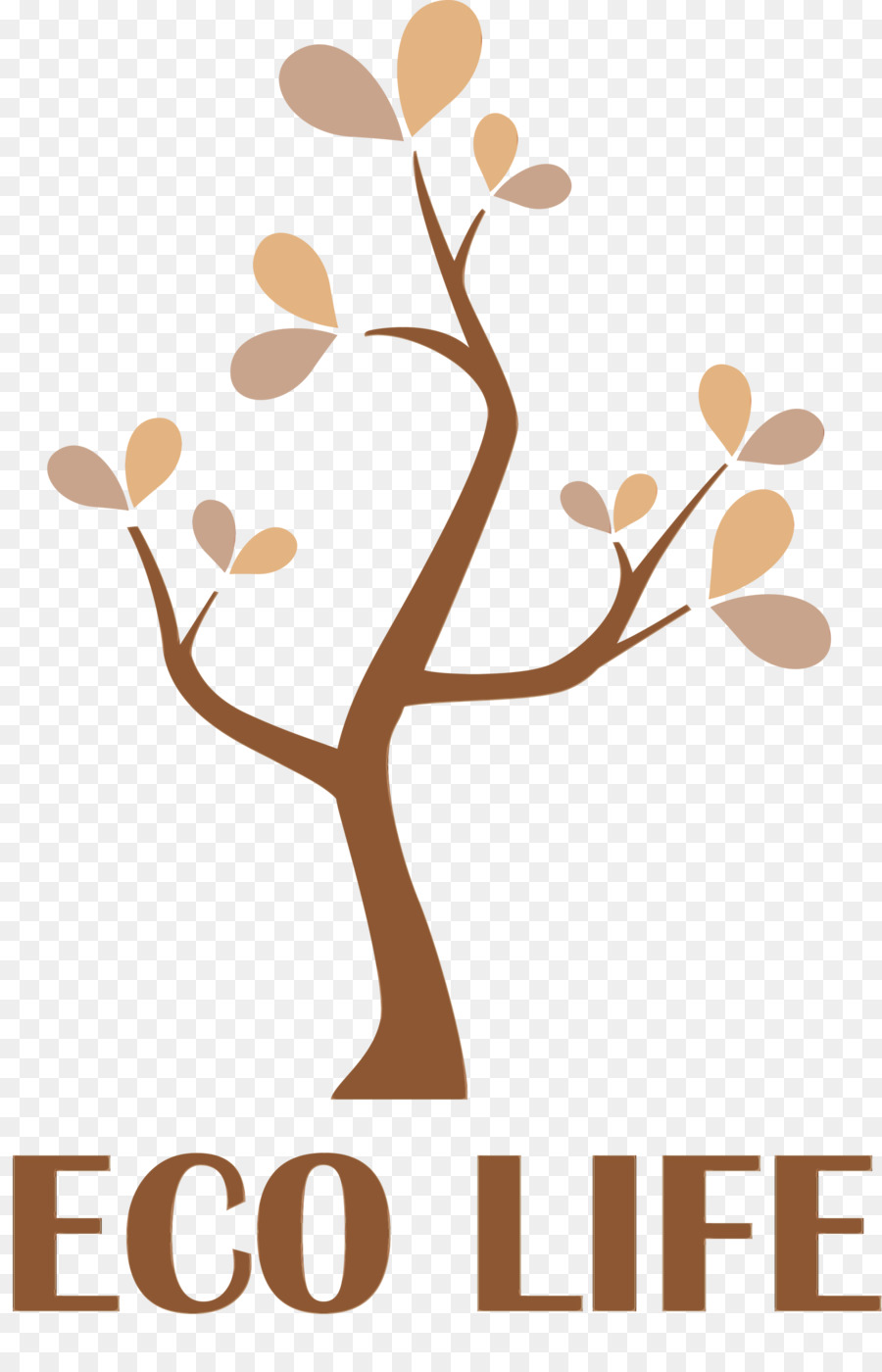 Arbre，Branche PNG