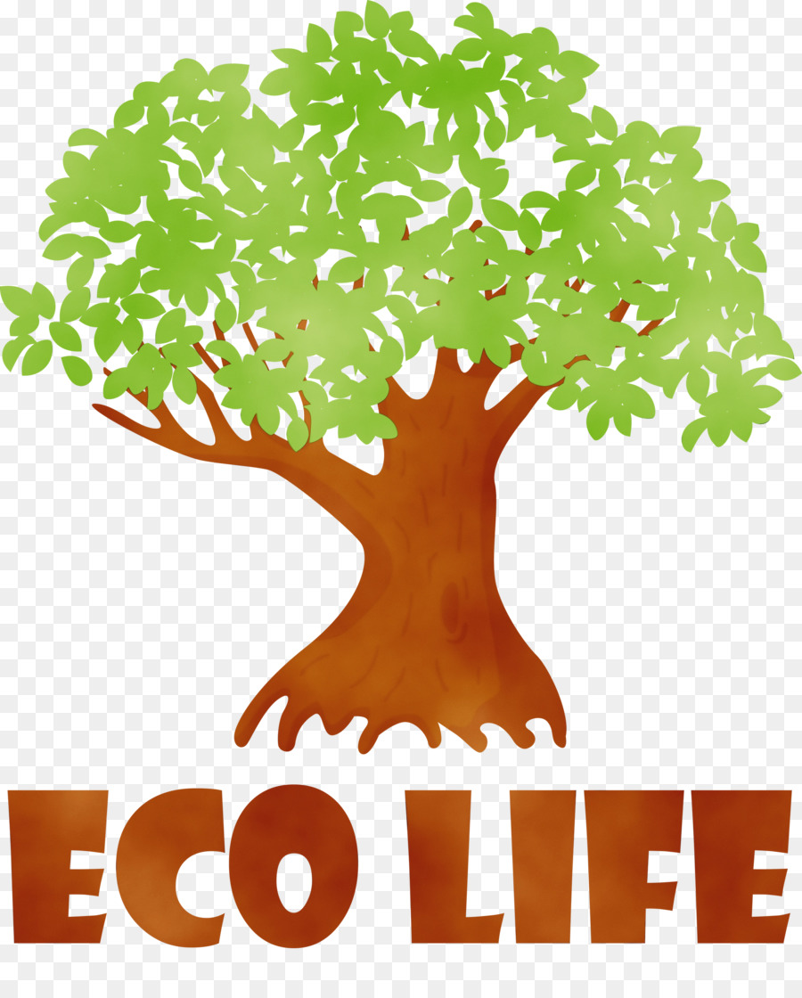 Arbre，Écologique PNG