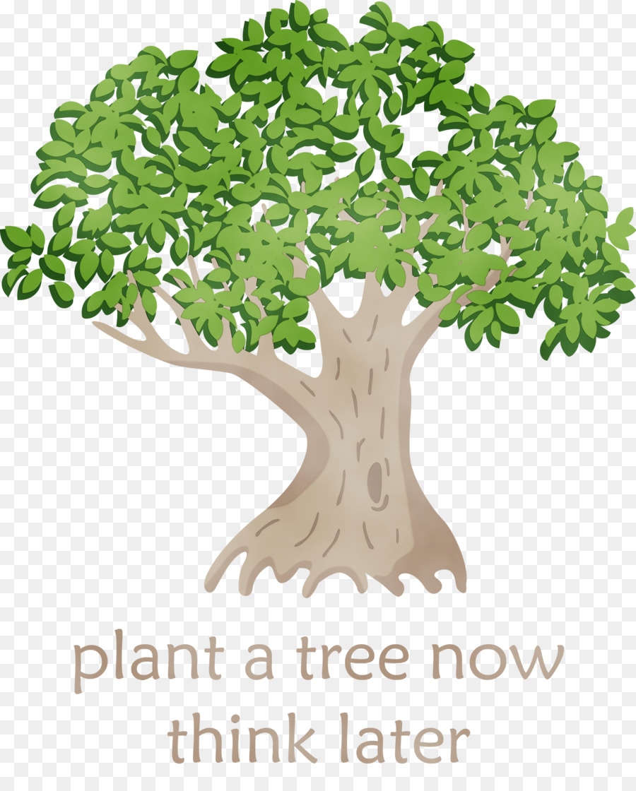 Arbre Avec Des Feuilles，Usine PNG