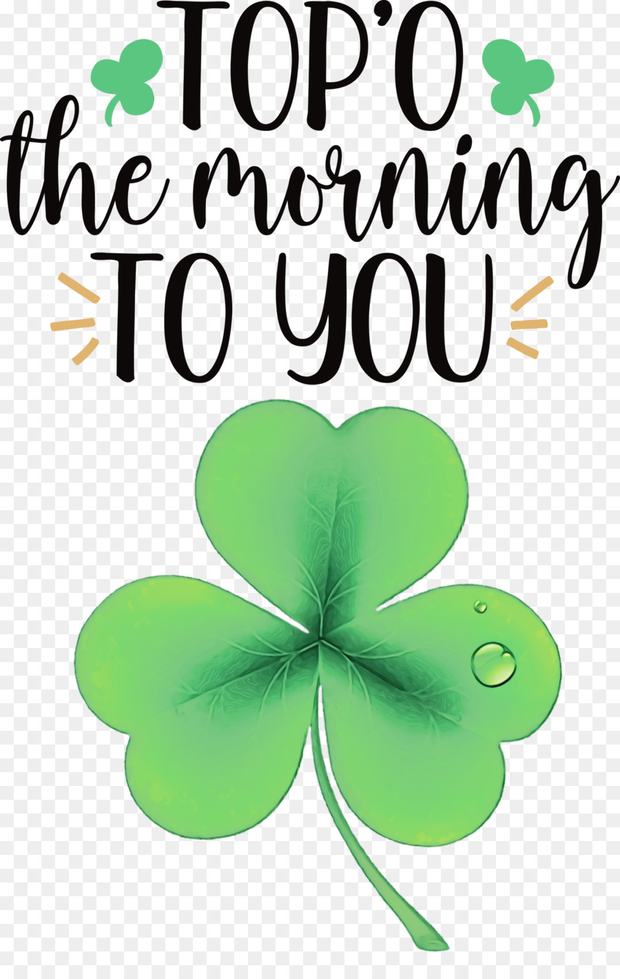 Feuille，Shamrock PNG