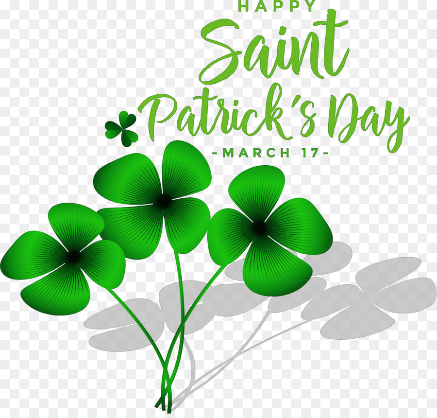 Fête De La Saint Patrick，Trèfle PNG