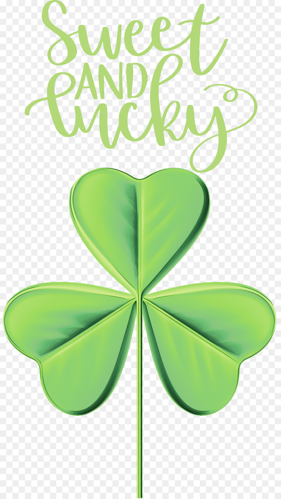 Feuille，Shamrock PNG