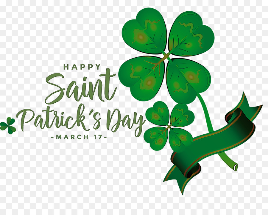 Fête De La Saint Patrick，Trèfle PNG