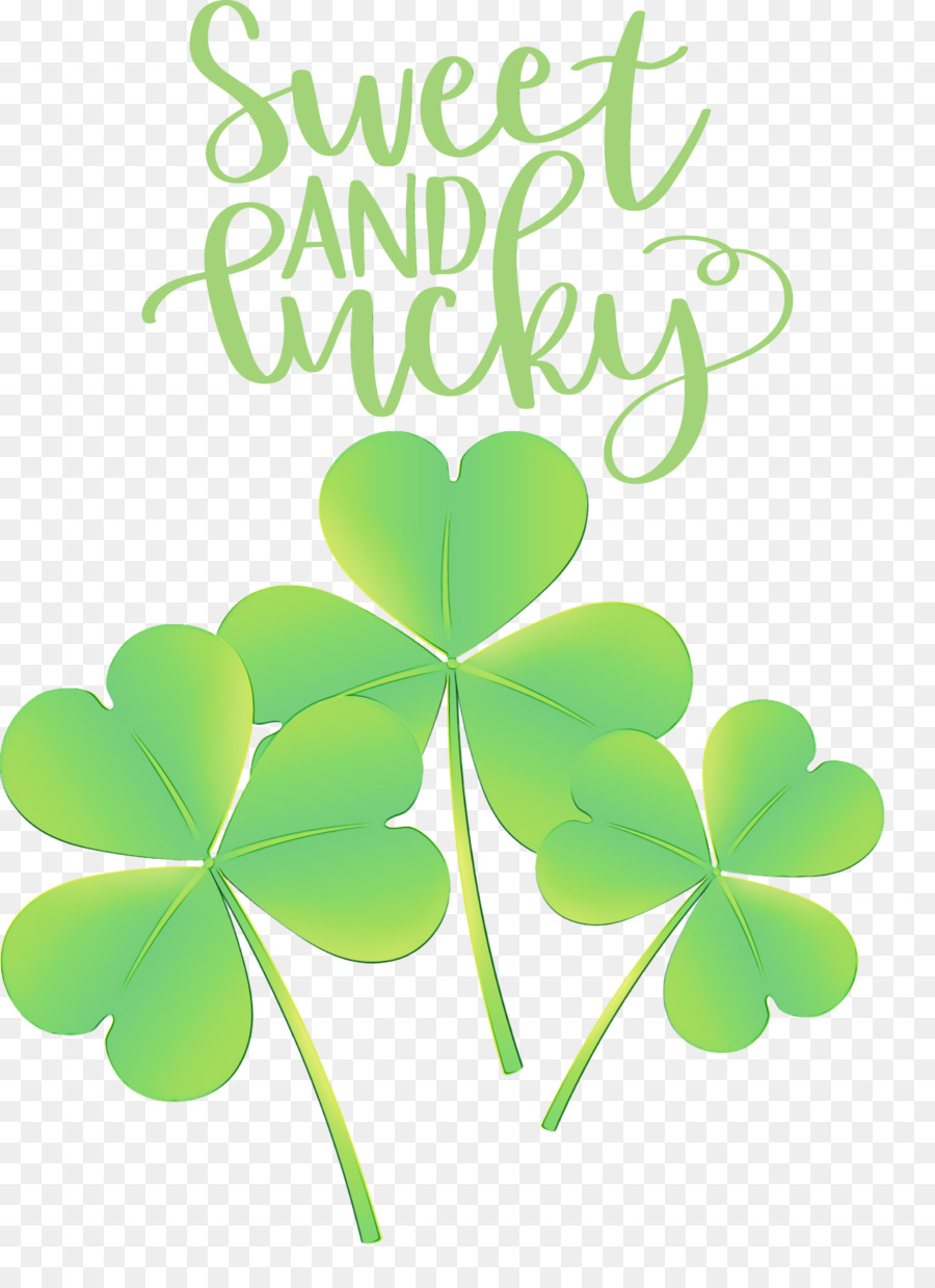 Feuille，Shamrock PNG