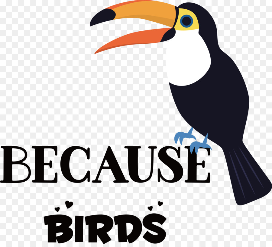 Les Toucans，Piciformes PNG