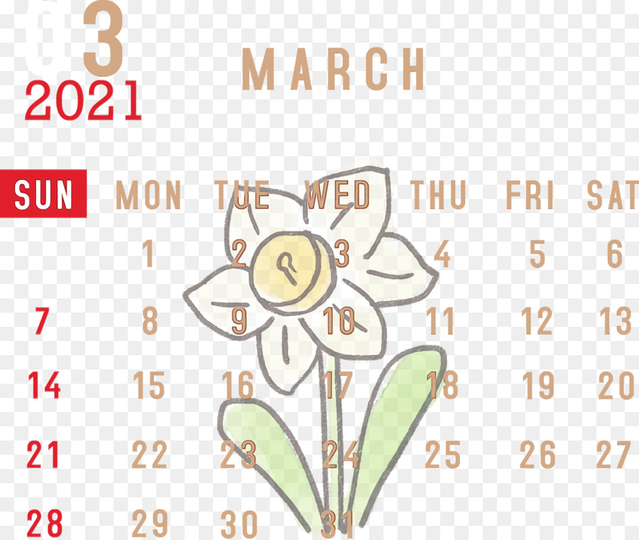 Design Floral，Diagramme PNG