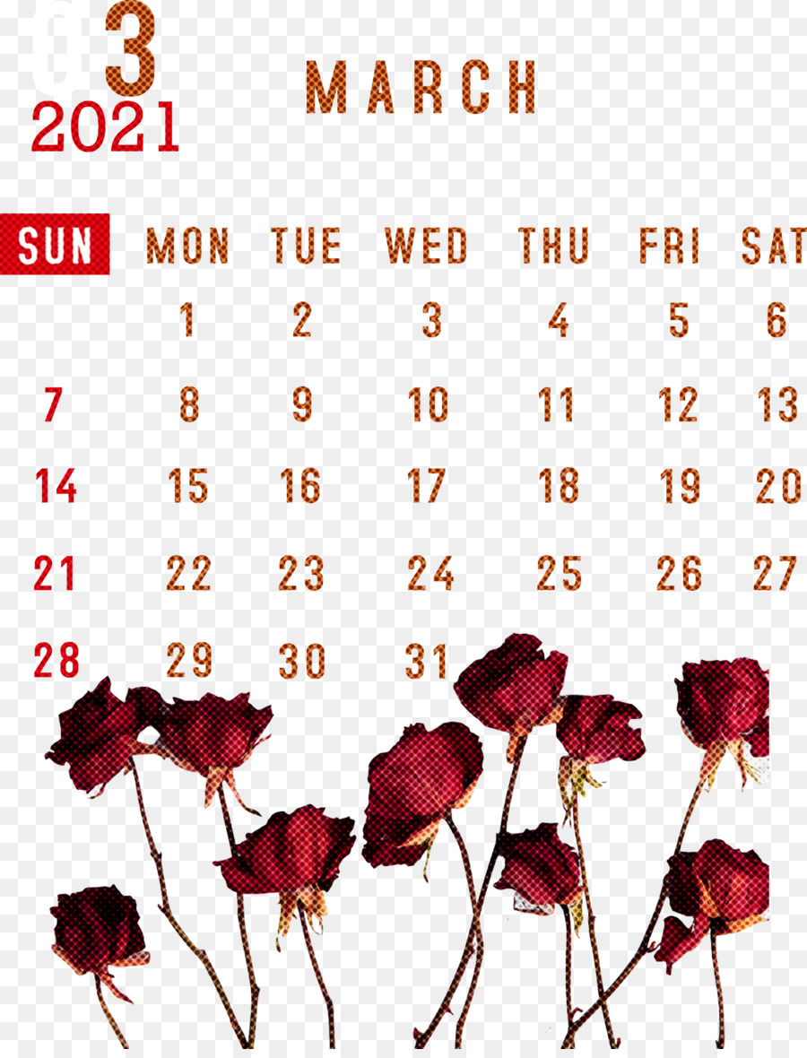 Système De Calendrier，Mois PNG