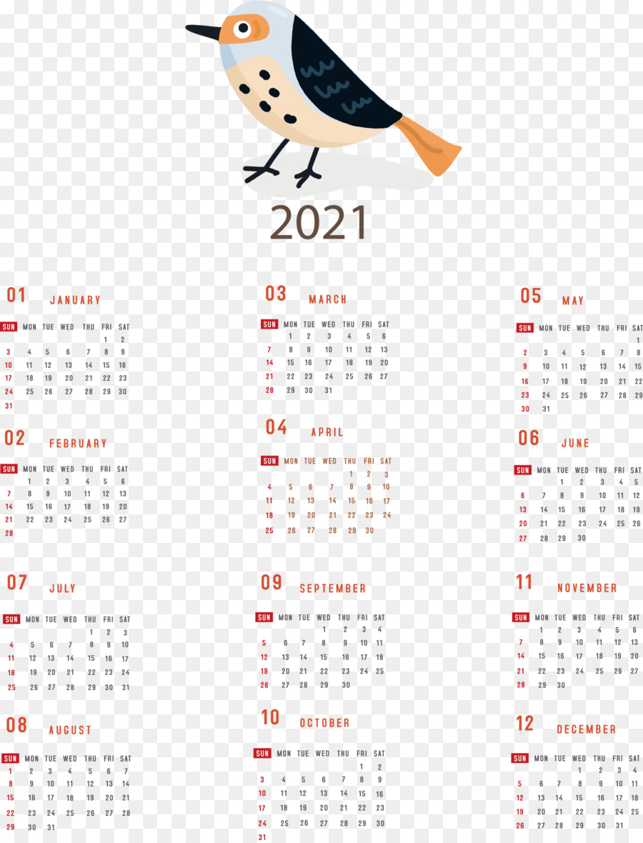 Calendrier，Date PNG