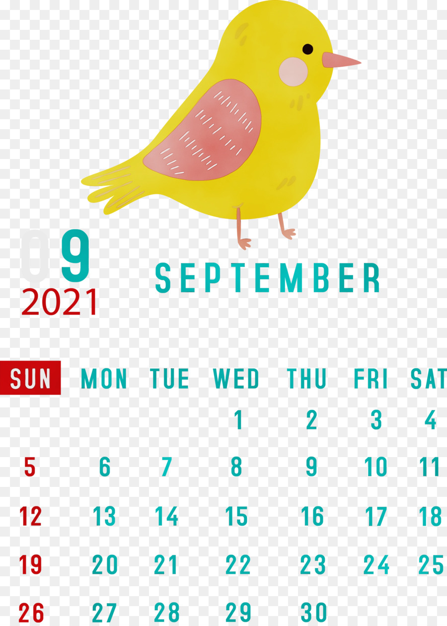 Calendrier De Septembre，Oiseau PNG