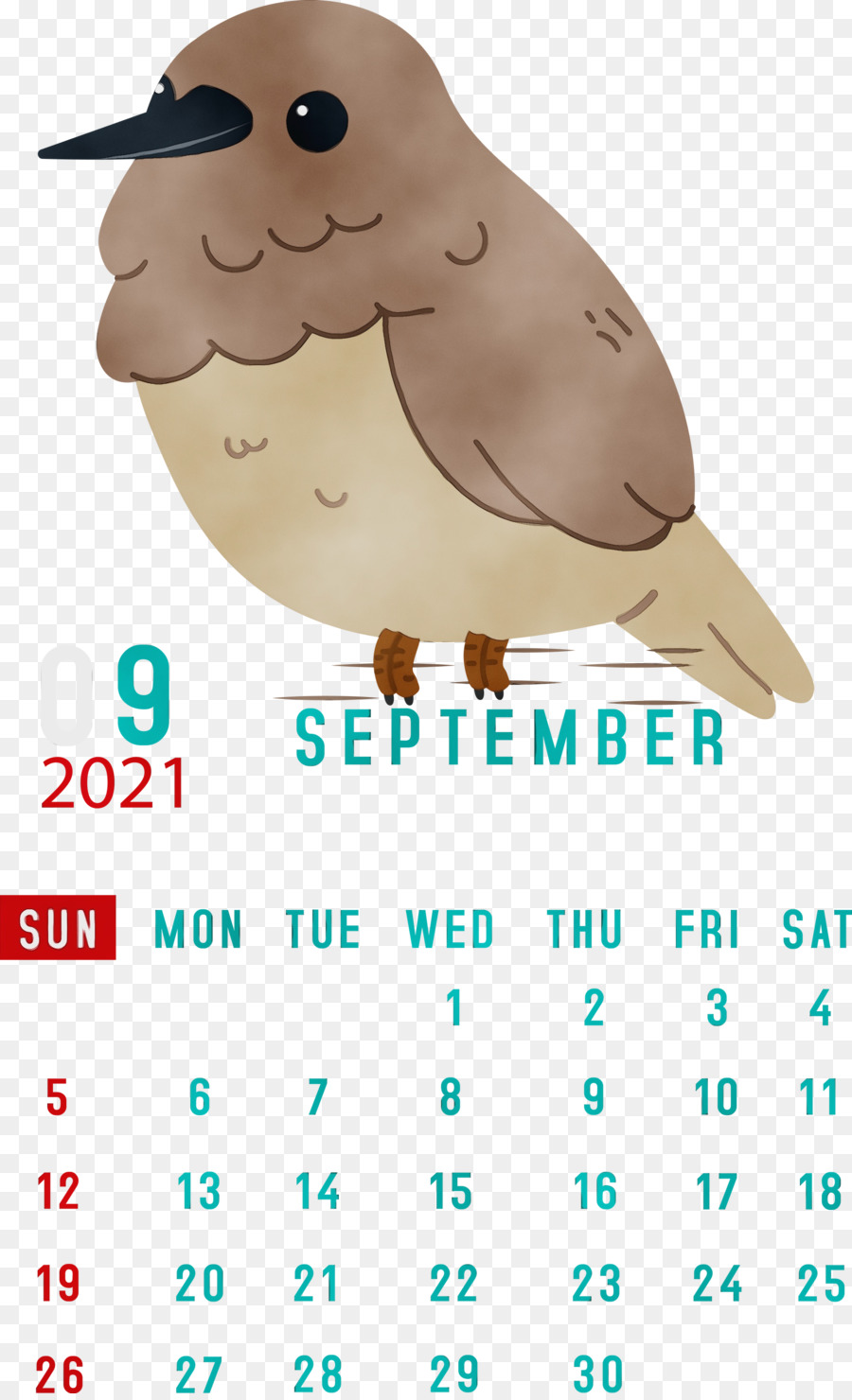 Calendrier De Septembre，Oiseau PNG