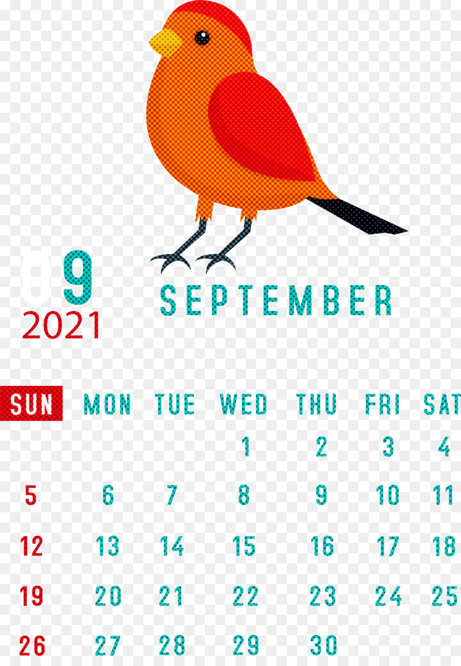 Calendrier De Septembre，Oiseau PNG