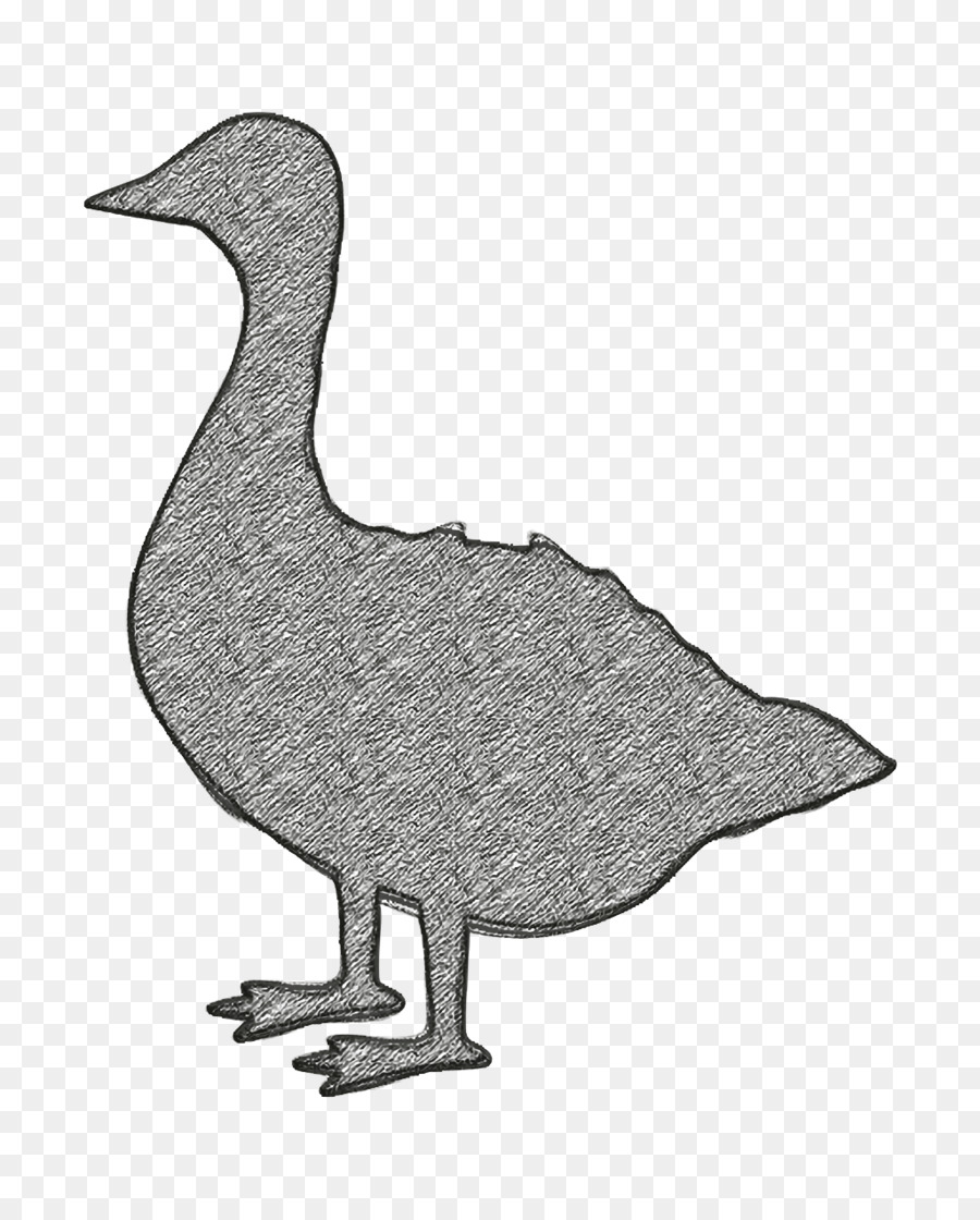 Canard，Volaille PNG