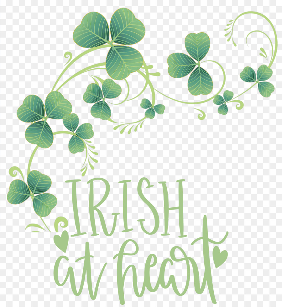 Fourleaf Trèfle，Shamrock PNG