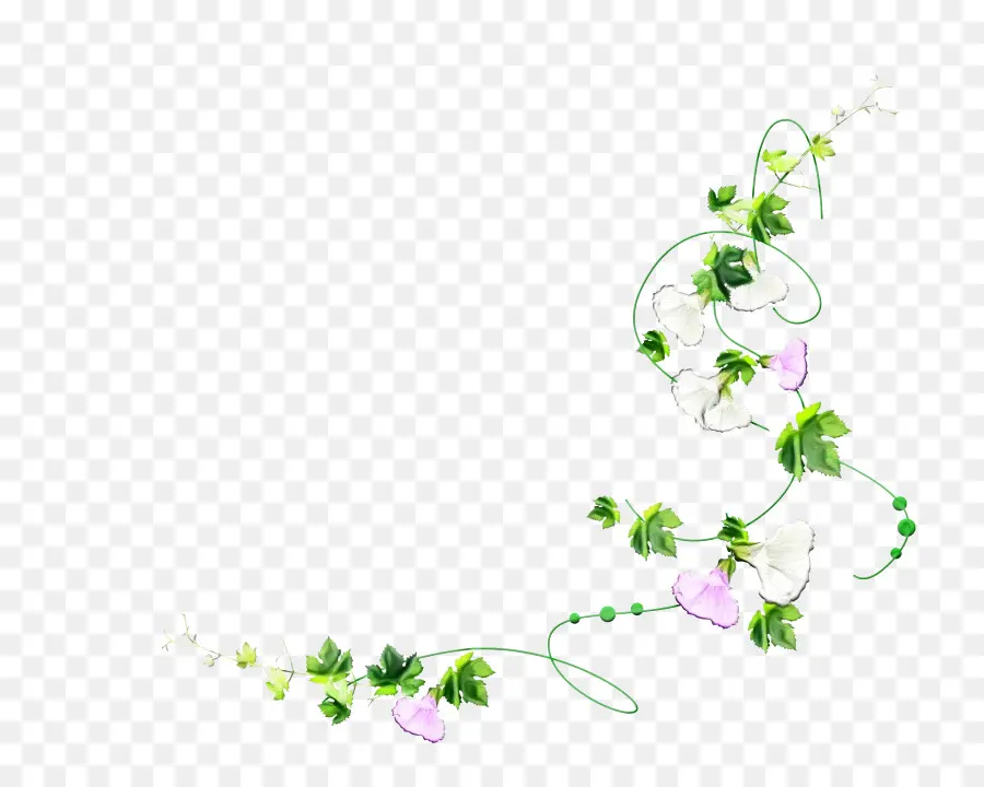 Design Floral，Tige De La Plante PNG