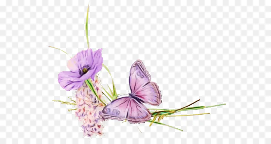 Papillon Violet，Fleur PNG