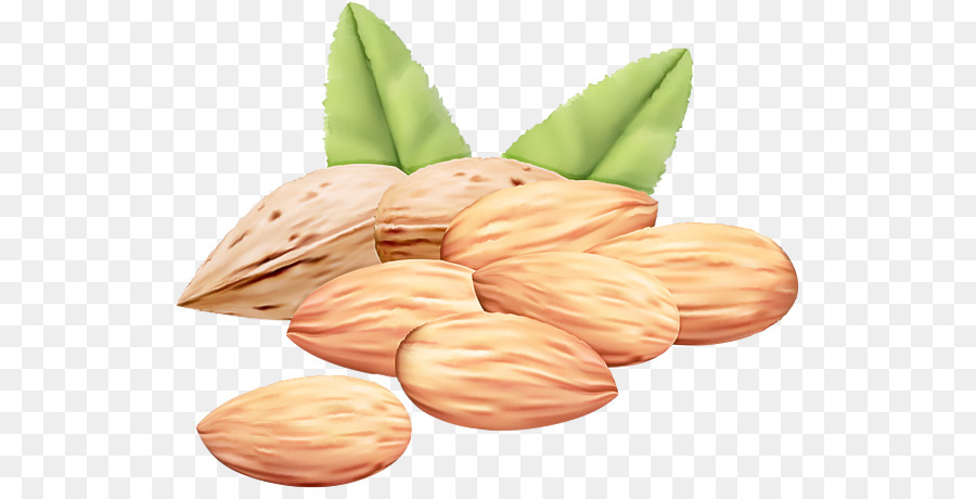 Amandes，Noix PNG