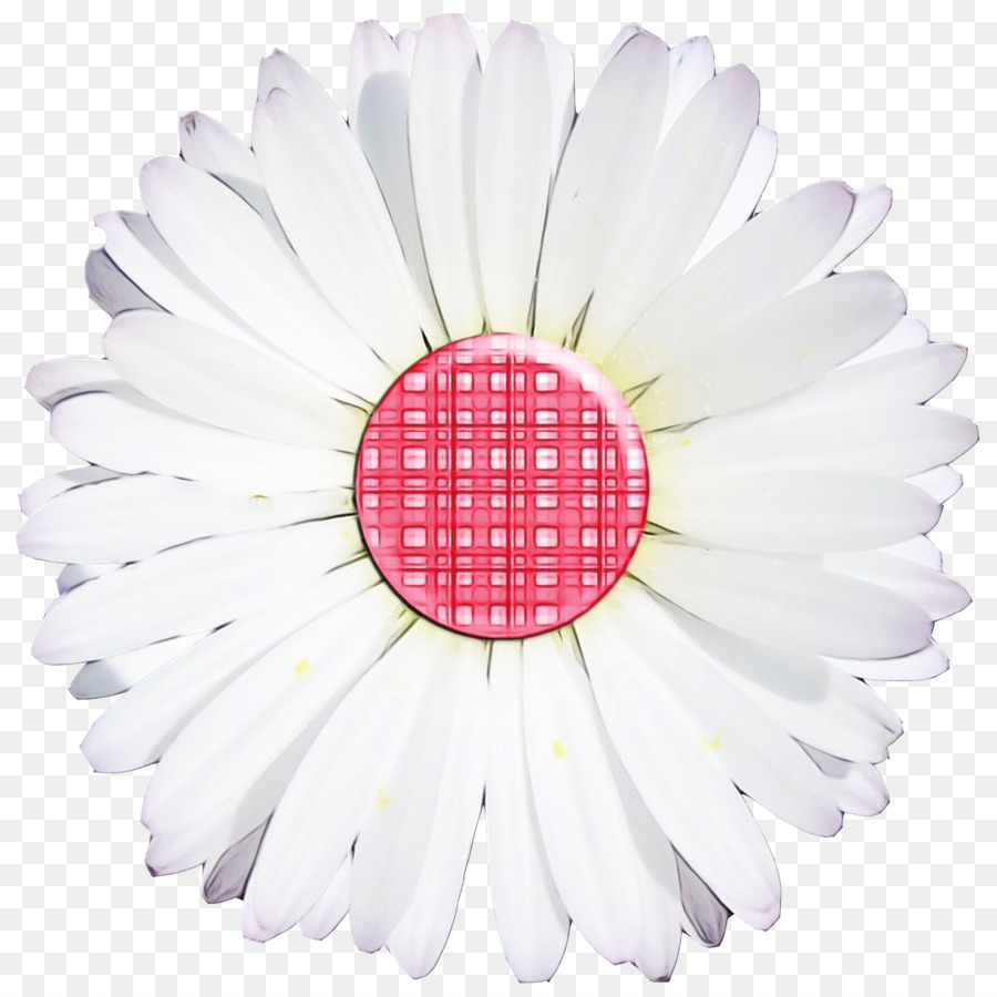 Marguerite Du Transvaal，Les Fleurs Coupées PNG