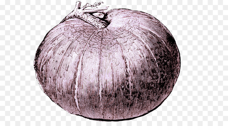 Légume，Courge D'hiver PNG