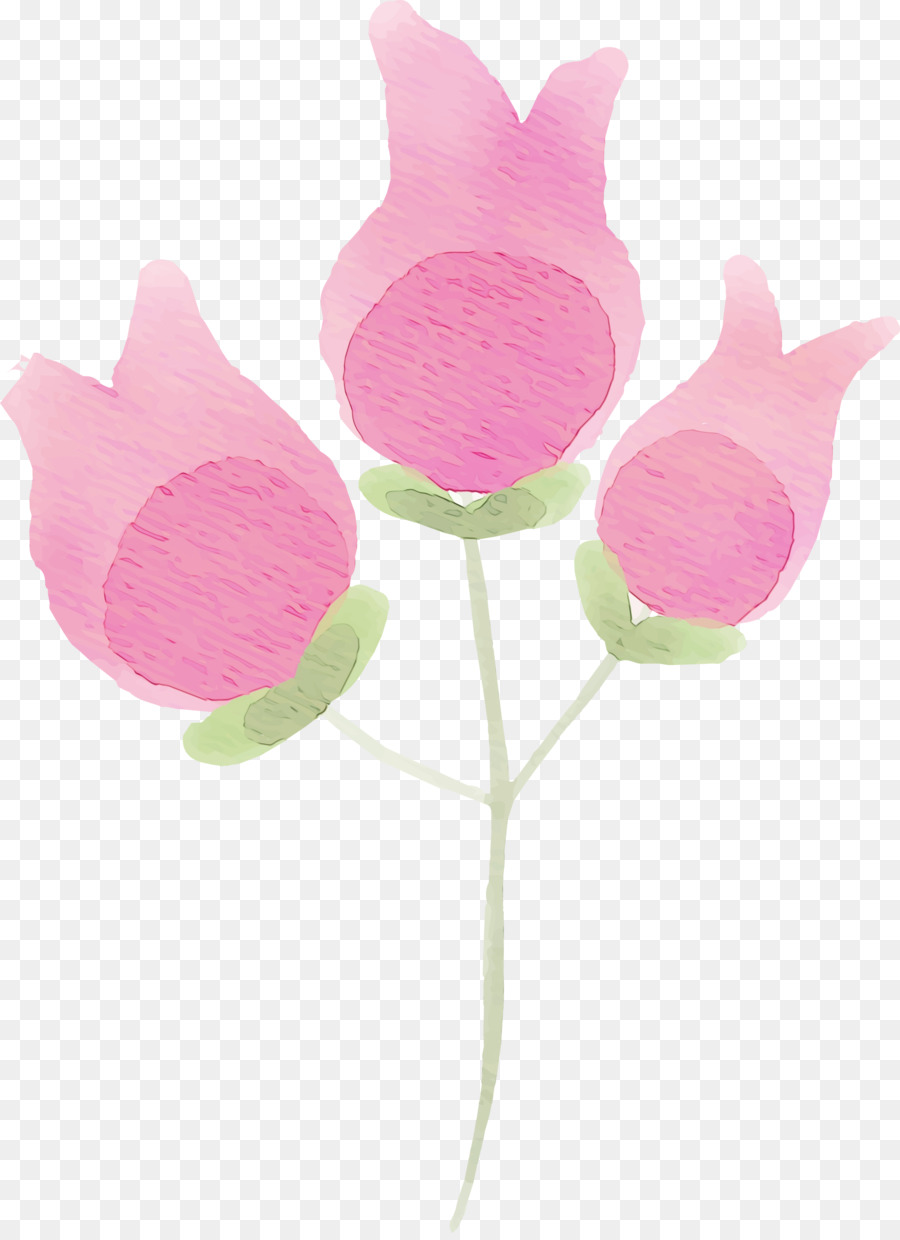 Les Fleurs Coupées，Fleur PNG