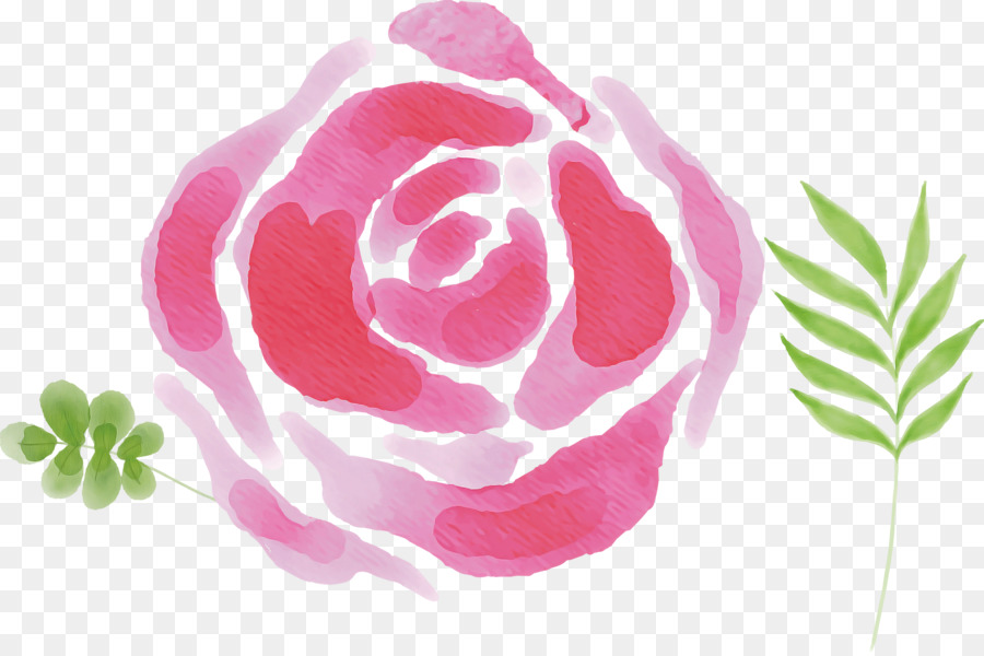 Les Roses De Jardin，La Famille Rose PNG