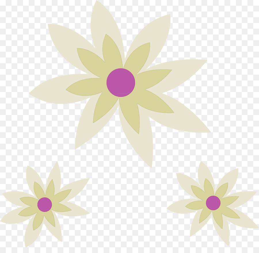 Fleurs，Marguerites PNG