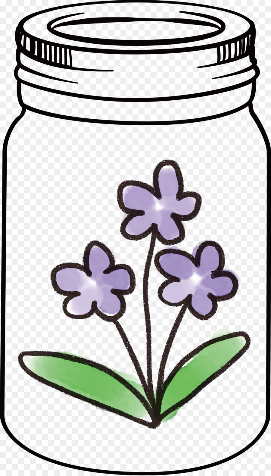 Fleur，Violettes Africaines PNG