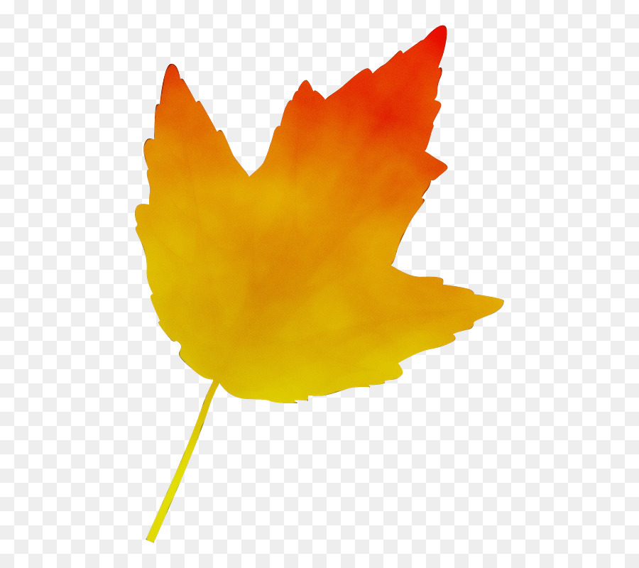 Tige De La Plante，Feuille PNG