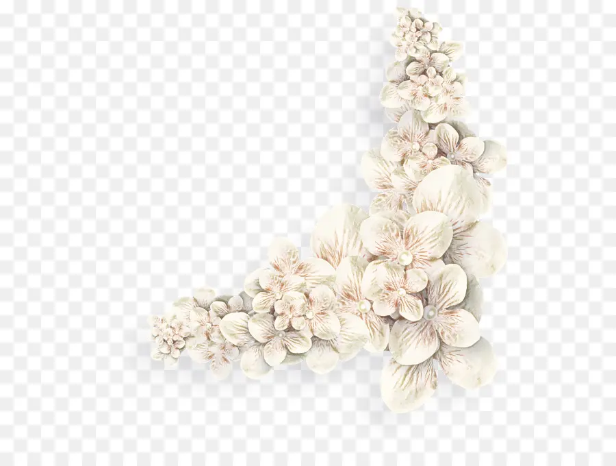 Fleurs Blanches，Fleurs PNG