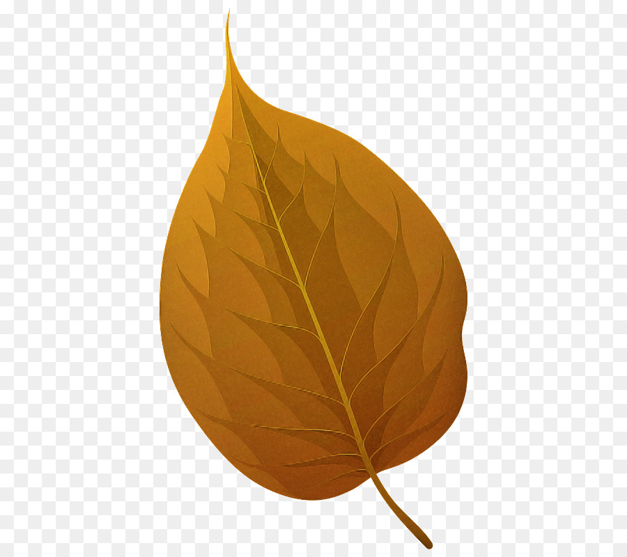 Feuille D'oranger，Automne PNG