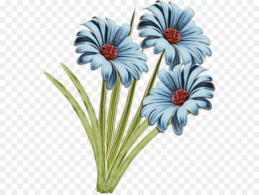 Marguerite Du Transvaal，Les Fleurs Coupées PNG