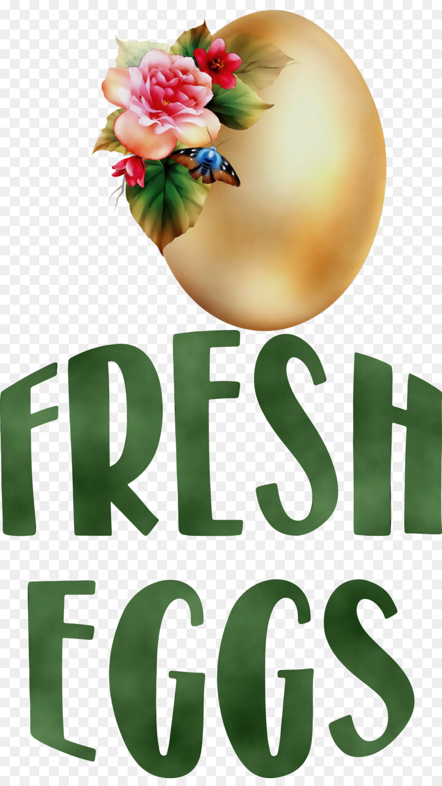 Oeufs Frais，Œuf PNG