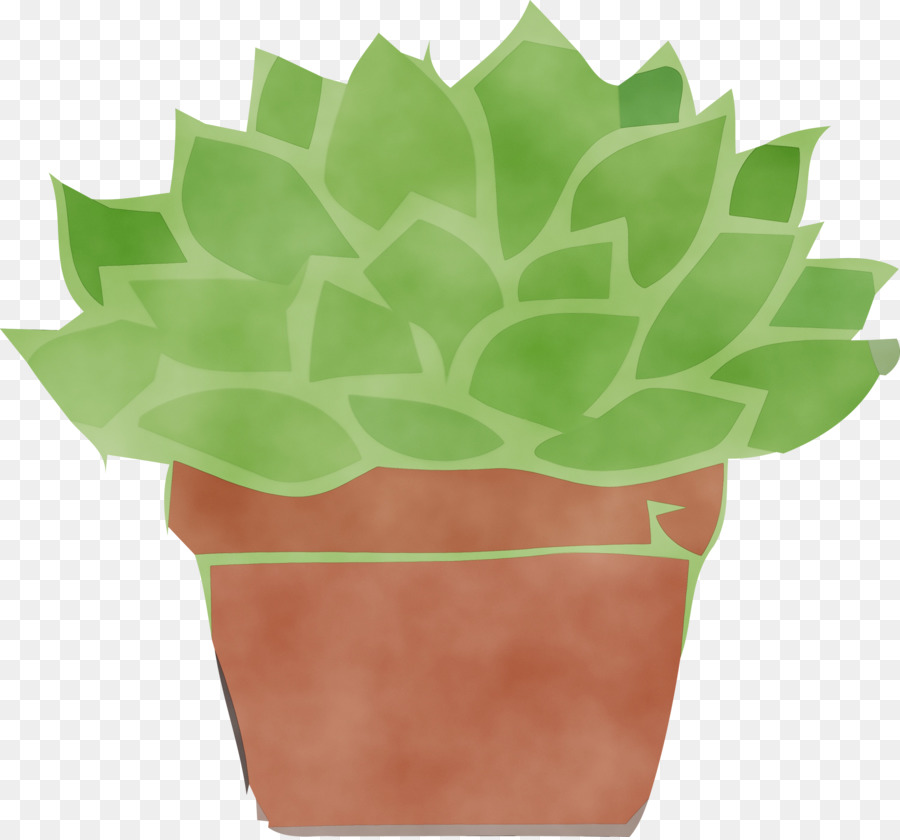 Plante Succulente，Cactus PNG