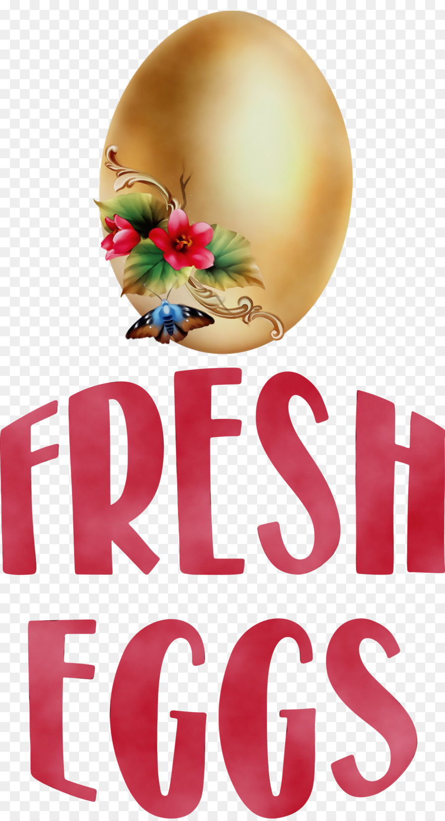 Oeufs Frais，Œuf PNG