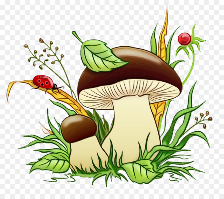 Champignons，Coccinelle PNG