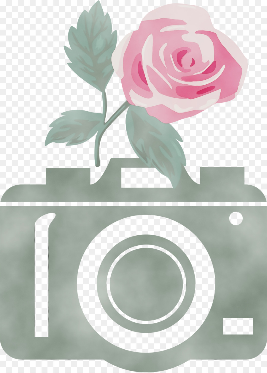 Design Floral，Les Roses De Jardin PNG