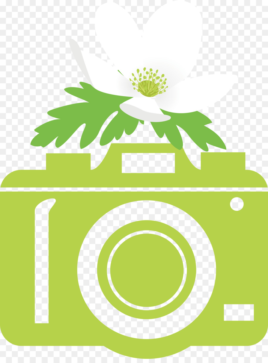 Design Floral，Logo PNG