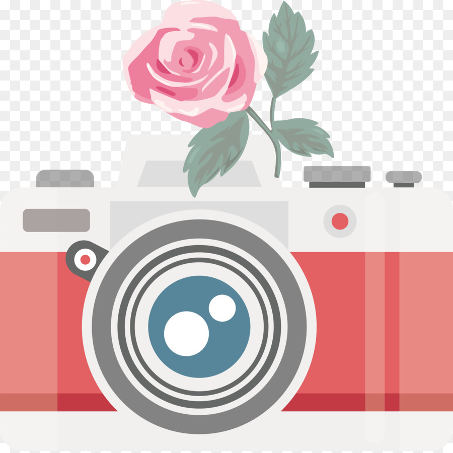 Rose，Design Floral PNG