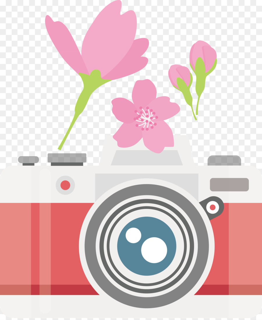 Design Floral，Fleur PNG