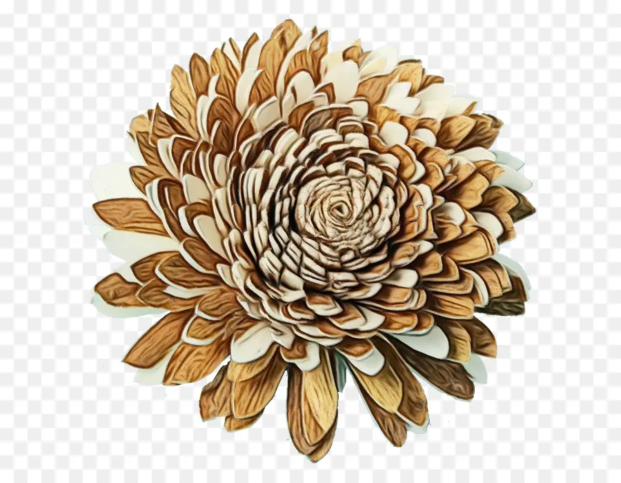 Fleur En Bois，Art PNG