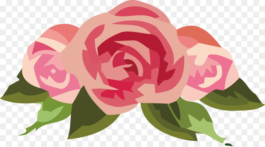 Art Floral，Roses De Jardin PNG