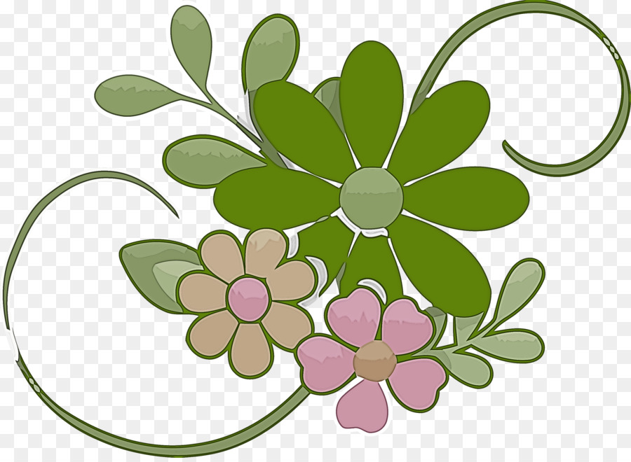 Plantes Succulentes，Fleurs PNG