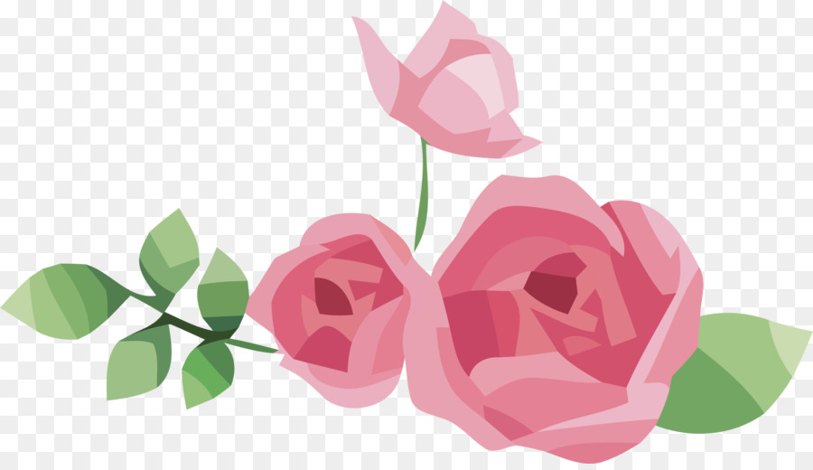 Roses，Floraison PNG