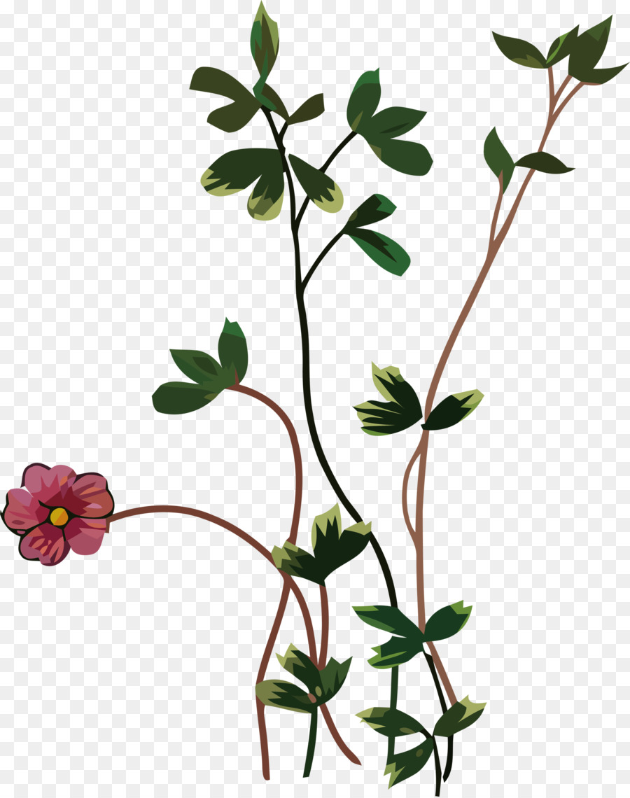 Plante à Fleurs，Fleurs PNG