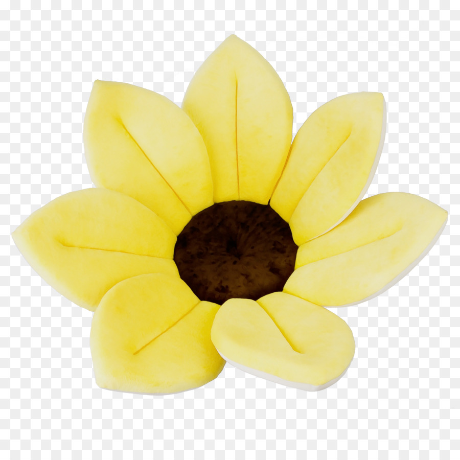 Bain Bébé En Fleurs，Bébé PNG