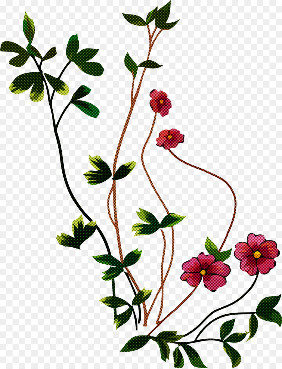 Design Floral，Feuille PNG